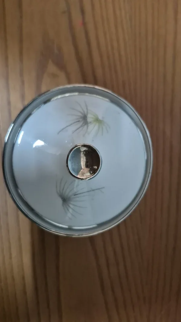 &Sigma;&epsilon;&tau; &kappa;&alpha;&phi;έ/&tau;&sigma;&alpha;&gamma;&iota;&omicron;ύ "Dandelion" &alpha;&pi;ό &tau;&eta; H&C Heinrich Selb Bavaria, &Gamma;&epsilon;&rho;&mu;&alpha;&nu;ί&alpha; - &sigma;&epsilon;&tau; 3 &tau;&mu;&chi;